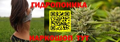 mdpv Каменск-Уральский