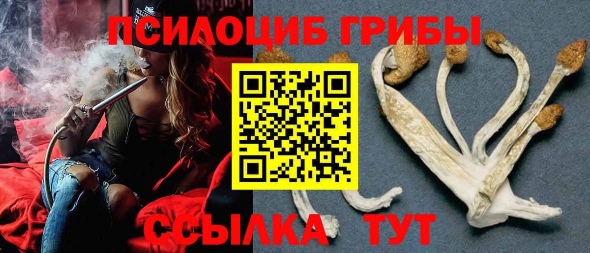 Псилоцибиновые грибы GOLDEN TEACHER  Псилоцибиновые грибы Magic Shrooms  Астрахань  Вход с VPN 