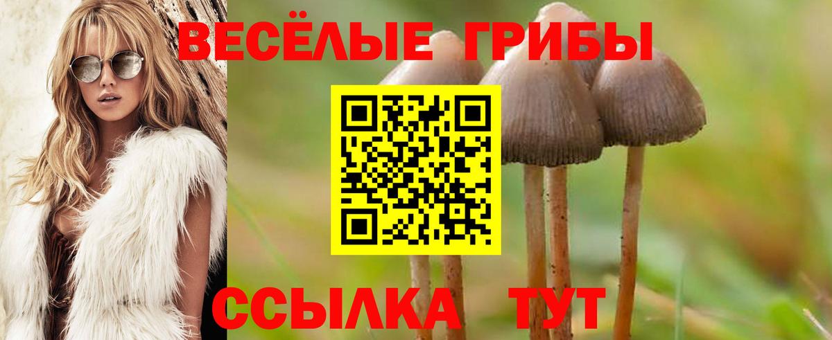 Галлюциногенные грибы Cubensis Астрахань